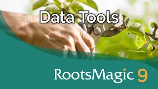 New Data Tools in RootsMagic 9