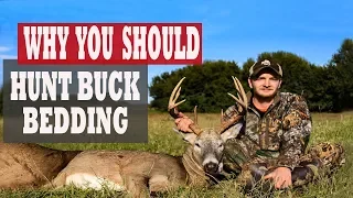 THIS IS WHY YOU SHOULD HUNT BUCK BEDDING:  Nebraska Public Land Buck Harvest