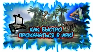 ARK: Survival Evolved - Гайд по начальной прокачке!