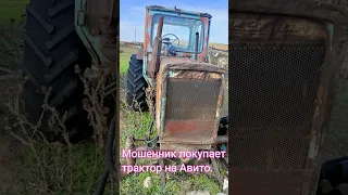 Мошенник покупает трактор на Авито. Смотреть до конца.