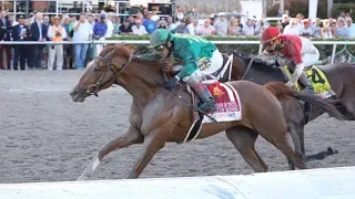 Gulfstream Park Carrera 13 (The 72nd Running of The Fountain of Youth)   - 2 de Marzo  2019