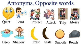 Antonyms In English | Opposite Words | Learn About Opposite Words | Daily Use English. #vocabulary