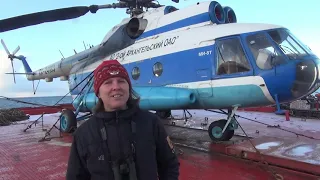On the icebreaker Mikhail Somov to the settlement of Tiksi
