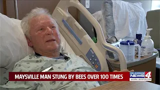 Over 100 bees attack 81-year-old Oklahoma man for hours, causing him to break hip