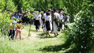 Dansuri populare la iarba verde (fete)