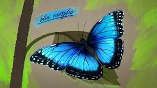 Structural Color in Nature - How Butterflies Inspired a New Type of Paint! 🦋 | Biomimicry Institute