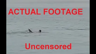 Most dramatic fatal shark attack ever caught on cam- 2. Uncensored (viewers discretion is advised)