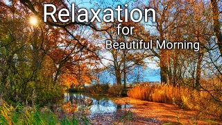 Beautiful piano relaxing music for stress Relief|Natural water falls and  Birds chirping