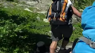 Grizzly Bear Encounter in Glacier National Park, MT