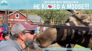 Ultimate Shop Floors Poured and He Kissed a Moose and Liked It 💋