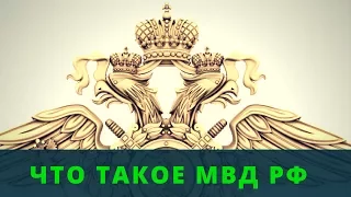 Что такое МВД РФ. Орган власти или коммерческая фирма?