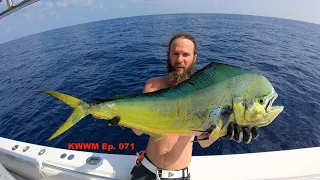 Why You Never Dive Alone - Spearing Mahi - Just One Fish