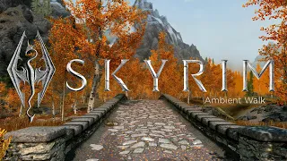 Skyrim | One Hour Ambient Walk [4K | 60fps | Mods]