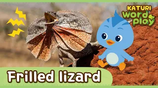 * Frilled Lizard * | Katuri Word Play | Learn Animals | Animals for kids to learn