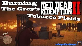 Burning Down The Grey's Tobacco Fields | Red Dead Redemption 2 Episode 16