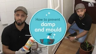 How to prevent damp and mould - You Can Do It instructional video