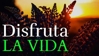 Has Que Cada Día Valga ¡Disfruta La Vida! ¦ Gratitud, Frases, Reflexiones, Agradecimiento, Reflexión