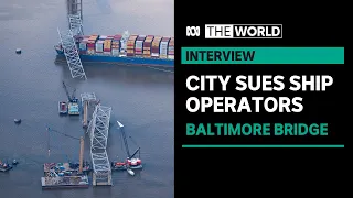 Baltimore sues owner and manager of cargo ship over bridge collapse | The World