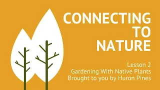 Connecting to Nature: Gardening With Native Plants