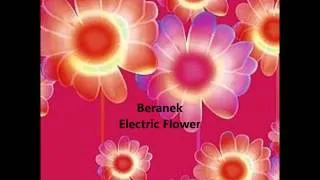 Beranek - Electric Flower