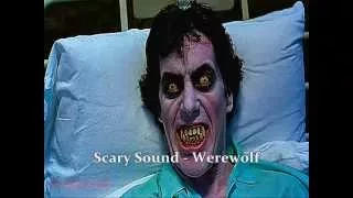 Scary Sound - Werewolf