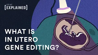 What is in utero gene editing?
