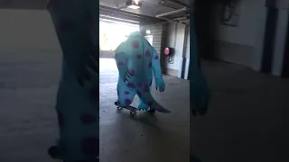 sully riding a skateboard