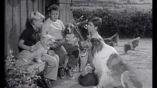 Lassie - Episode 86 - "Vigil" - Season 3, #21 (01/27/1957)