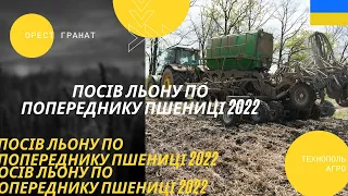 Посів льону по попереднику пшениці 2022