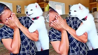 Funny Puppy Dog Reaction to me Crying - Best Ever Crying Prank Reaction