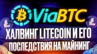 Халвинг Litecoin и его последствия на майнинг | ViaBTC