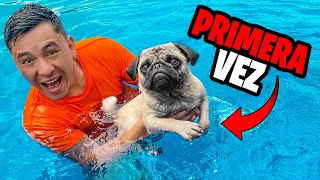 ¡¡MI PERRITO SIMUR APRENDE A NADAR EN LA PISCINA!! * Increíble Reacción