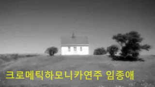 Casa bianca(언덕위의 하얀집)크로메틱하모니카연주/임종애