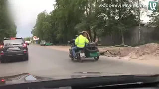 Медведь в коляске мотоцикла