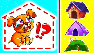 Who Took My Pet's Home? 😢 Funny Songs For Baby | YUM YUM Kids Songs