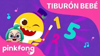 Tiburón Bebé del 1 al 5 | Canta con Tiburón Bebé | Números | Pinkfong Canciones Infantiles