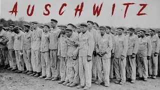 O Zi Din Viata Unui Prizonier La Auschwitz