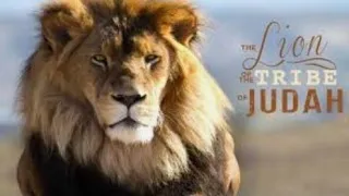 "People Get Ready!" Misty Edwards|Rhythem Of The Lion Of The Tribe Of Judah|