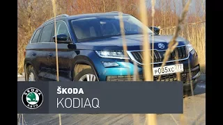 Skoda Kodiaq тест-драйв: Самый практичный, самый острый, самый Шкодиак