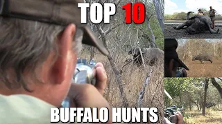 TOP 10 CAPE BUFFALO HUNTS