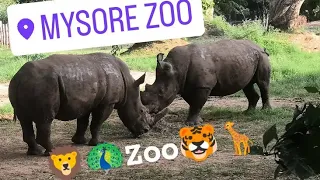 Mysore Zoo Full Tour 🐘🐯🦏 | Sri Chamarajendra Zoo | Mysore Best Place To Visit|Mysore Family Trip