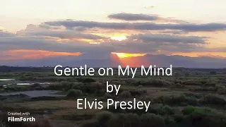 Elvis Presley - Gentle on My Mind