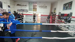 איגרוף קלאסי | ערב קרבות 4 | VVV BOXING