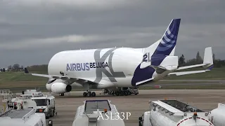 big fat beluga airbus in birmingham-bhx