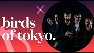 Birds of Tokyo - [V] Island Party trailer