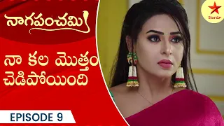 Naga Panchami - Episode 9 Highlight 4 | Telugu Serial | StarMaa Serials | Star Maa