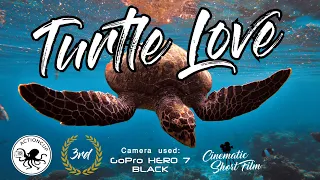 GoPro: Turtle Love [AC2019]
