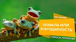 Чем отличается похвала и благодарность спроси Потапова