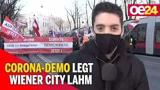 Corona-Demo legt Wiener City lahm