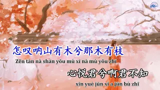 [KARAOKE] Chẩm thán 怎叹 - Trịnh Ngư 郑鱼 || KTV伴奏 怎叹 | Nhạc hoa Douyin Tiktok